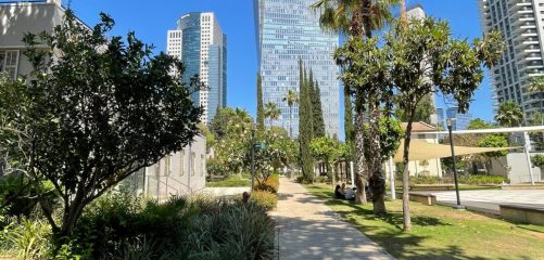 מתחם שרונה